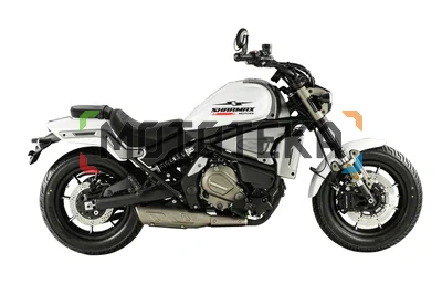 Мотоцикл дорожный SHARMAX (Шармакс) RR 801