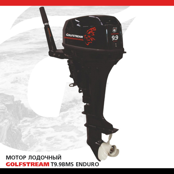 Лодочный мотор GOLFSTREAM (Гольфстрим) TE9.9BMS Enduro | Мототека